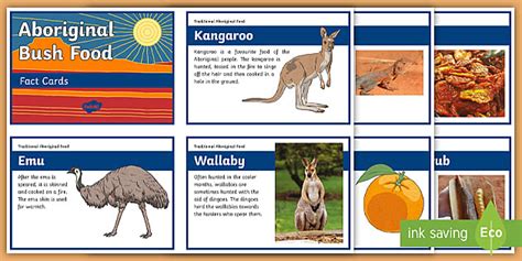 Aboriginal Food Facts for Kids | Fact Cards | Year 3-4