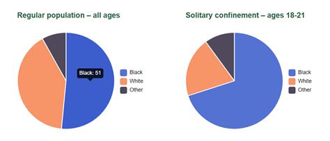 Young Adults in Solitary Confinement - DRNC