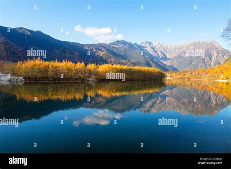 Autumn leaves at Taisho Pond Stock Photo - Alamy