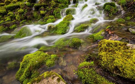 美丽的山间小溪风景图片壁纸-壁纸图片大全