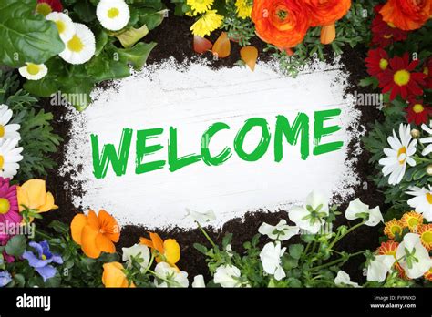 Welcome Images With Flowers