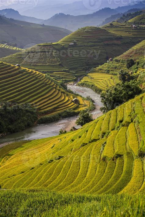 Rice Farm in Vietnam 1114158 Stock Photo at Vecteezy