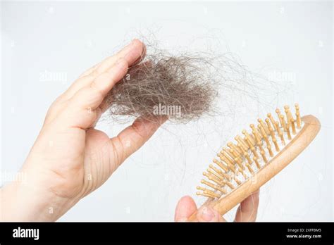 woman holds clump hair after brushing, stress-related hair loss, wooden ...