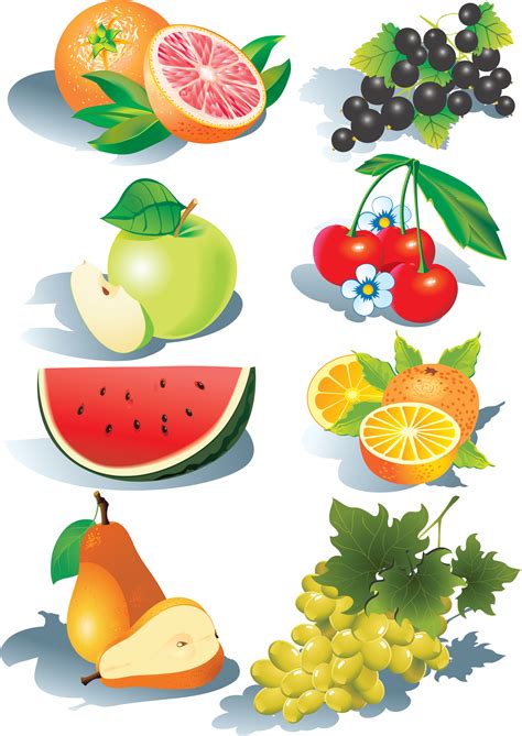 Fruit Vector | Free Download Clip Art | Free Clip Art | on Clipart ... - ClipArt Best - ClipArt Best