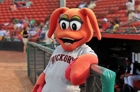 Conrad the Crawdad, Hickory Crawdads mascot; South Atlantic League