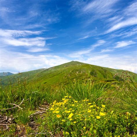 Summer scene in mountains stock image. Image of hiking - 20041909