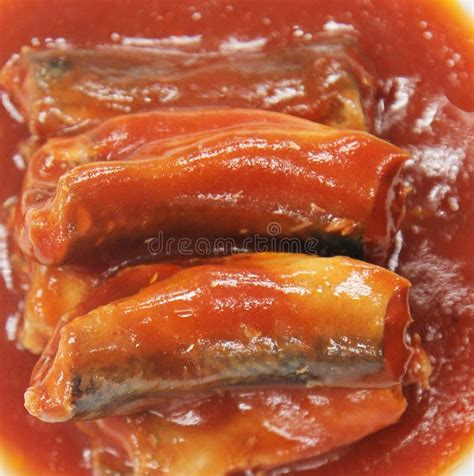 Sardines in Tomato Sauce stock photo. Image of tinned - 53778164