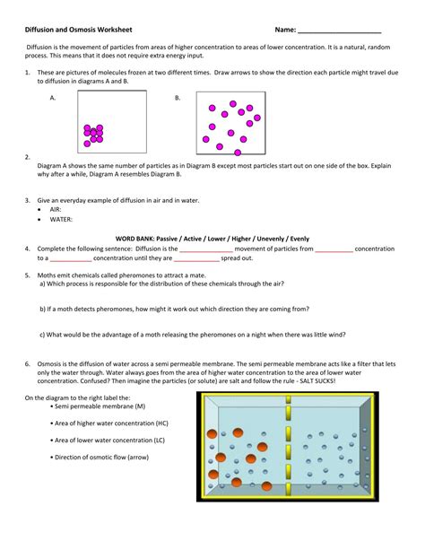 Diffusion And Osmosis Worksheet — db-excel.com