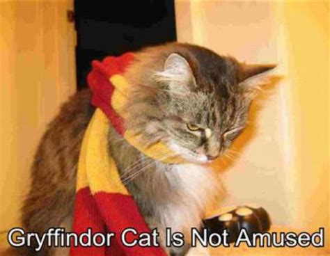 Harry Potter Pets (20 pics)