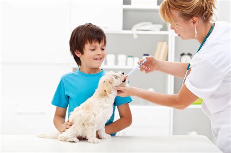 How to Give Your Dog Medicine – Dr. Phillips Animal Hospital