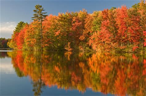 Maine in the Fall | New england fall foliage, Maine in the fall, Fall foliage