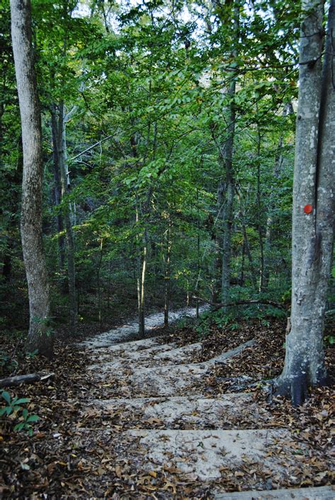 Cliffs of the Neuse State Park | The Dyrt