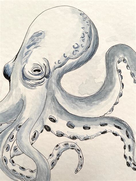 Arozarena De La Fuente - Giant Pacific Octopus. Outstanding watercolor painting For Sale at ...