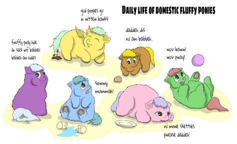 The life of a Domestic fluffy pony is often one full of comfort. : r/Fluffyhugbox