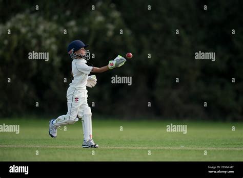 Wicket keeper throwing ball hi-res stock photography and images - Alamy