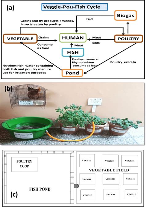 Integrated farming system based on a sustainable design. a Congruously ...