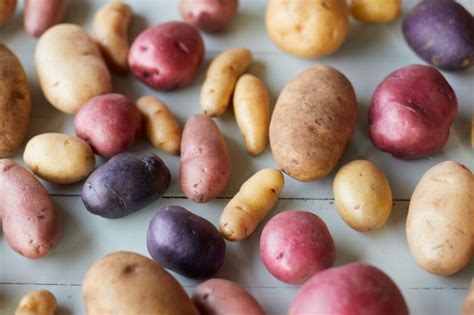 How russet potatoes can help you engage with health-conscious diners ...