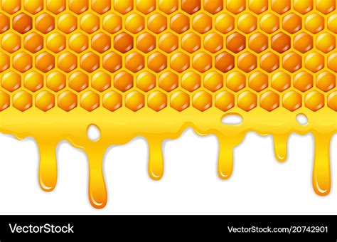 Cartoon honeycomb with honey dripping Royalty Free Vector