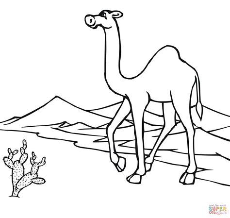 Desert Oasis Coloring Pages at GetColorings.com | Free printable colorings pages to print and color