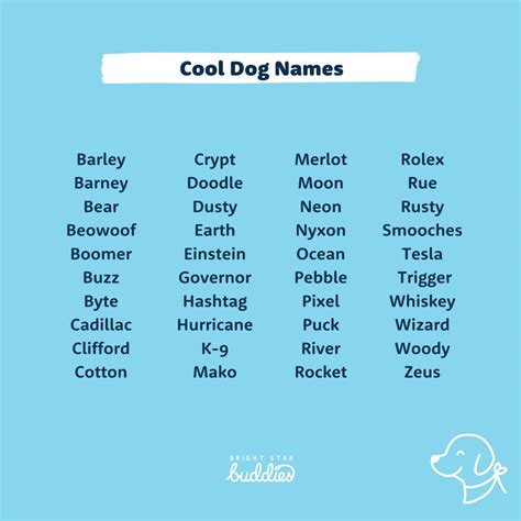 Top 200 Dog Names - Cute Dog Names You'll Love - BSB