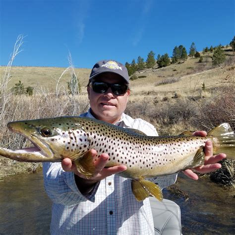 Guided Fishing Trips by Montana Fishing Outfitters