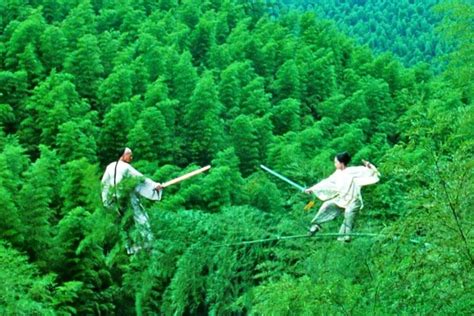 Top 6 Bamboo Forests in China, Best Bamboo Seas in China 2024