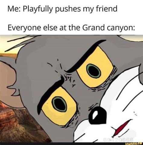 Me: Playfully pushes my friend Everyone else at the Grand canyon: - iFunny :) | Funny relatable ...