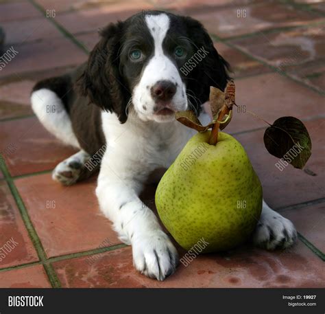 Healthy Snack Image & Photo (Free Trial) | Bigstock