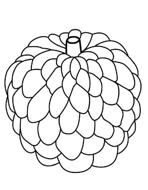 Coloring Pages Custard Apple Coloring Page | My XXX Hot Girl