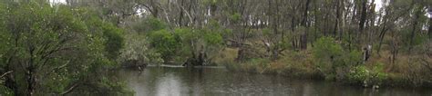 Kalgan River - Healthy Rivers