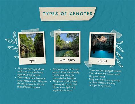 Types of cenotes in the Yucatán Peninsula