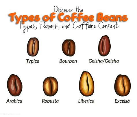 Types of Coffee Beans: Types, Flavors, and Caffeine Content Peaberry ...