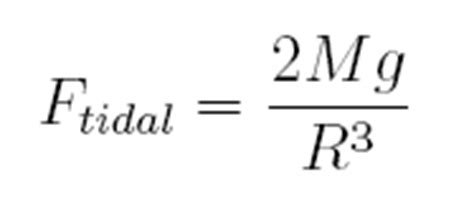 Professor Robert B. Laughlin, Department of Physics, Stanford University