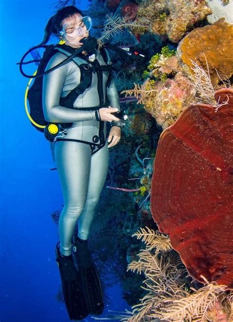 Scuba Diving in Colorful Coral Reefs