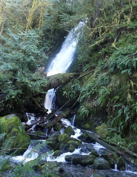 Take A Day Trip To See Waterfalls On The Olympic Peninsula - SouthSoundTalk