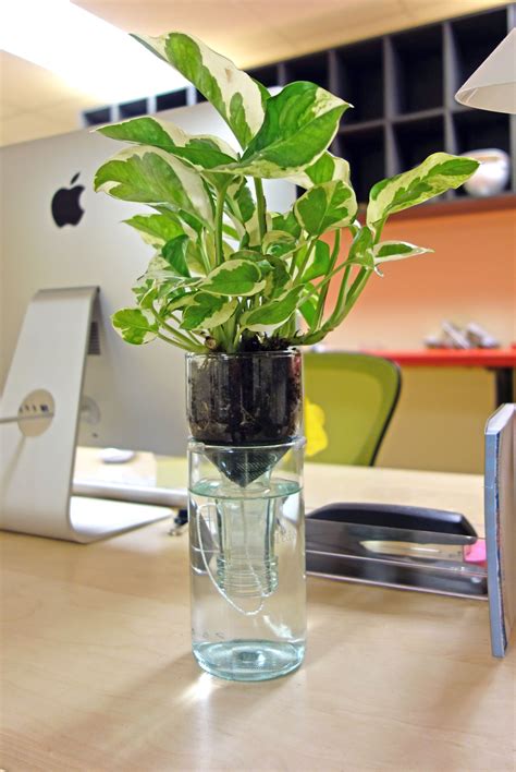 Dress up your desk with a self watering planter made from a recycled ...