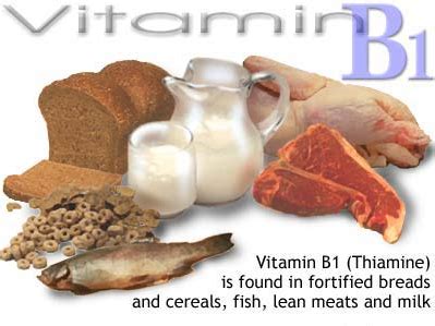 The Health Benefits Of Consuming Foods Rich In Vitamin B1(Thiamine ...