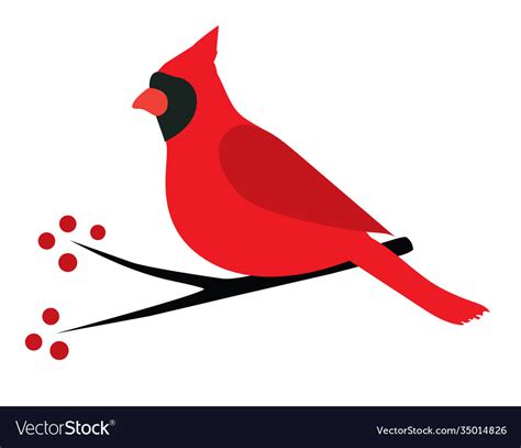 Cardinal bird Royalty Free Vector Image - VectorStock