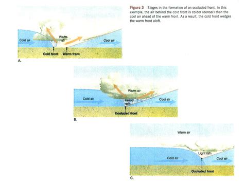 Solved Figure 3 Stages in the formation of an occluded | Chegg.com