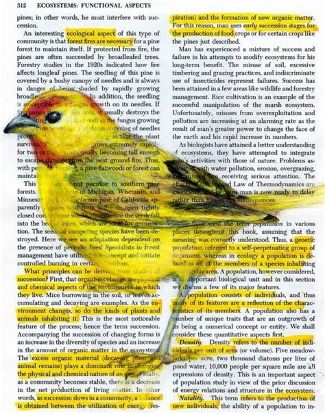 Yellow | Bird art, Book page art, Colossal art