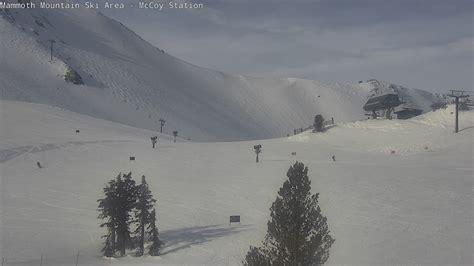 Live Mammoth Mountain Webcams - Mammoth Lakes Webcam