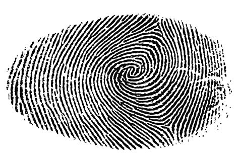 Fingerprint Logo Vector at Vectorified.com | Collection of Fingerprint Logo Vector free for ...