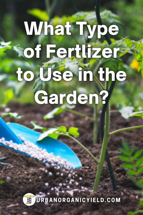 Type of Fertilizer for Vegetable Garden? in 2021 | Garden soil, Soil, Garden