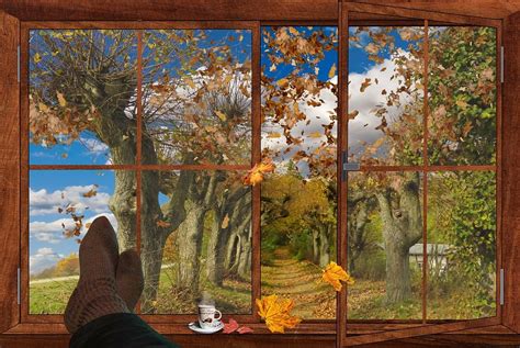 Autumn Window Fall Foliage · Free image on Pixabay