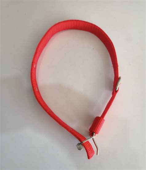 Red Dog Collar at Rs 23/piece | नायलॉन डॉग कॉलर in Kanpur | ID: 25996139797