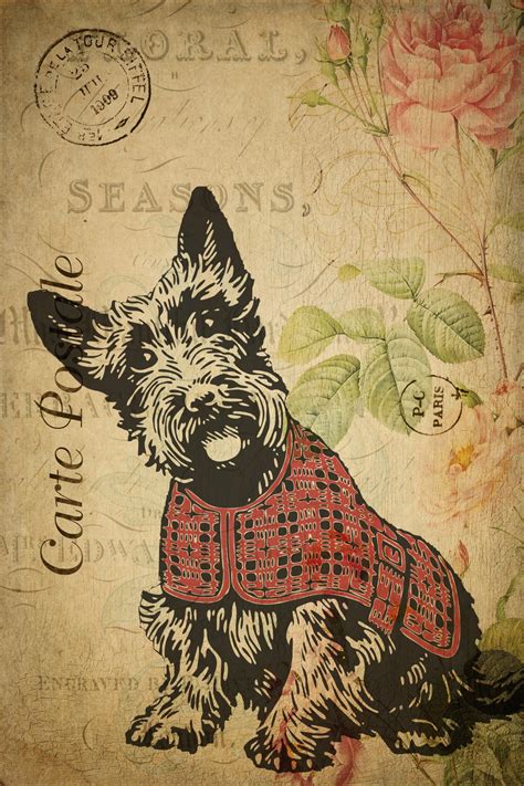 Dog Vintage Floral Postcard Free Stock Photo - Public Domain Pictures