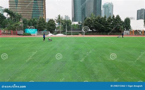 Mowing the stadium grass stock footage. Video of outdoor - 298313362