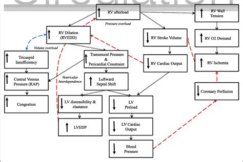 Pathophysiology of right-sided heart failure. LV indicates left ...