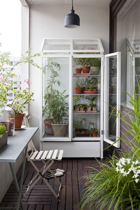 Indoor greenhouses | The joy of plants