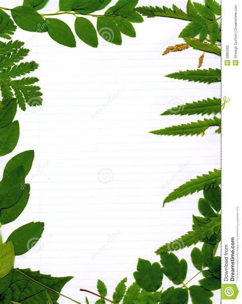 nature border design clipart 20 free Cliparts | Download images on Clipground 2024